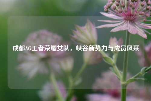 成都AG王者荣耀女队,峡谷新势力与成员风采