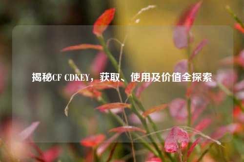 揭秘CF CDKEY,获取、使用及价值全探索