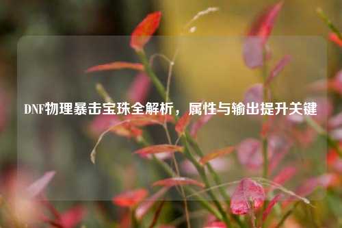 DNF物理暴击宝珠全解析,属性与输出提升关键