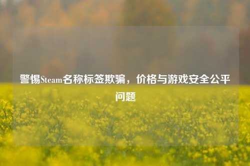 警惕Steam名称标签欺骗,价格与游戏安全公平问题