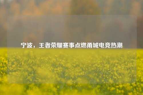 宁波,王者荣耀赛事点燃甬城电竞热潮