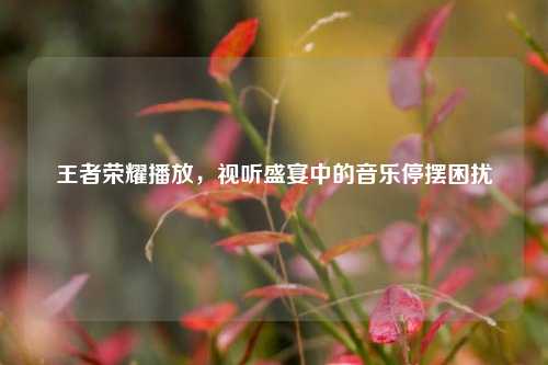 王者荣耀播放，视听盛宴中的音乐停摆困扰