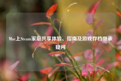 Mac上Steam家庭共享体验、指南及游戏存档继承疑问