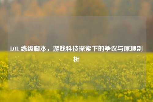 LOL 练级脚本，游戏科技探索下的争议与原理剖析