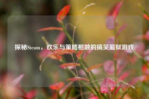 探秘Steam,欢乐与策略相融的搞笑监狱游戏