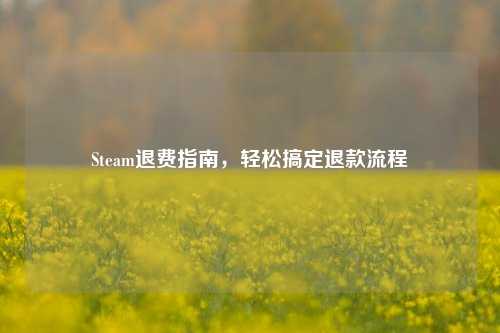Steam退费指南,轻松搞定退款流程