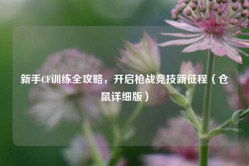 新手CF训练全攻略,开启枪战竞技新征程(仓鼠详细版)