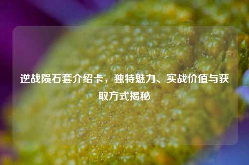 逆战陨石套介绍卡，独特魅力、实战价值与获取方式揭秘