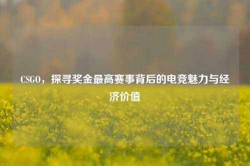 CSGO，探寻奖金最高赛事背后的电竞魅力与经济价值