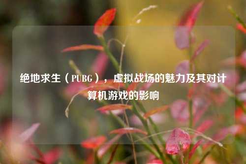 绝地求生(PUBG),虚拟战场的魅力及其对计算机游戏的影响