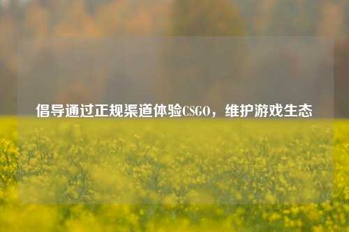 倡导通过正规渠道体验CSGO,维护游戏生态