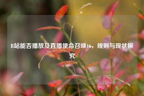 B站能否播放及直播使命召唤16,规则与现状探究