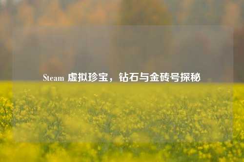 Steam 虚拟珍宝，钻石与金砖号探秘