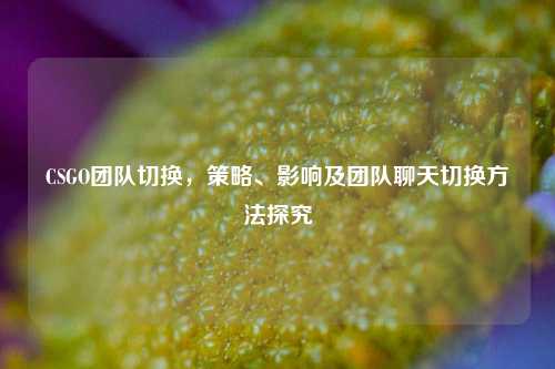 CSGO团队切换,策略、影响及团队聊天切换方法探究