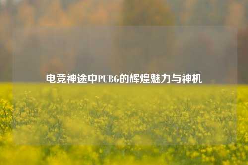 电竞神途中PUBG的辉煌魅力与神机