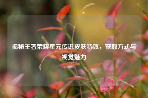 揭秘王者荣耀星元传说皮肤特效,获取方式与视觉魅力
