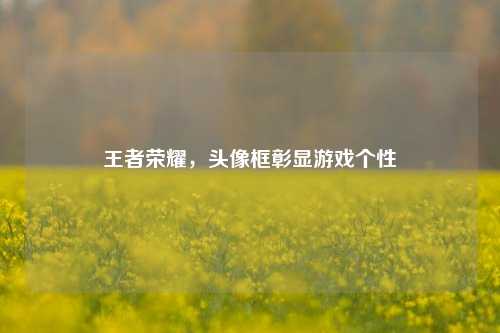 王者荣耀,头像框彰显游戏个性