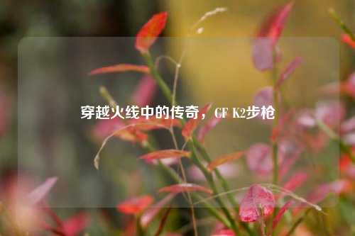 穿越火线中的传奇,CF K2步枪
