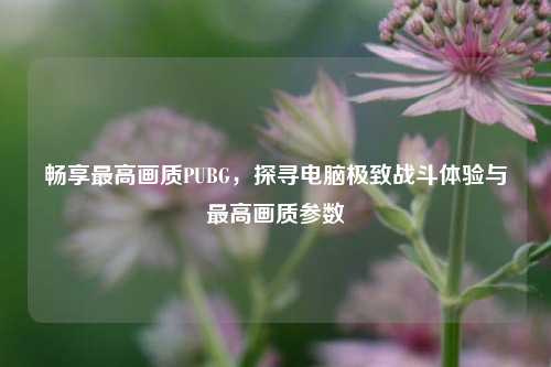 畅享最高画质PUBG,探寻电脑极致战斗体验与最高画质参数