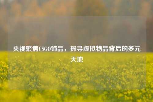 央视聚焦CSGO饰品,探寻虚拟物品背后的多元天地