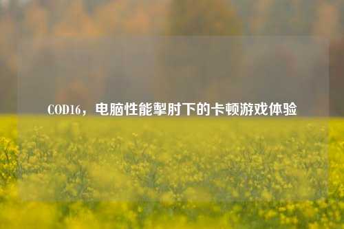 COD16,电脑性能掣肘下的卡顿游戏体验