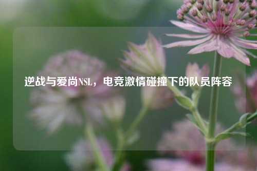 逆战与爱尚NSL，电竞激情碰撞下的队员阵容