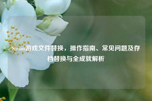 Steam游戏文件替换,操作指南、常见问题及存档替换与全成就解析