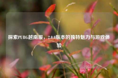 探索PUBG越南服，2.0.0版本的独特魅力与游戏体验