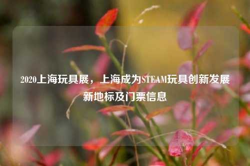 2020上海玩具展,上海成为STEAM玩具创新发展新地标及门票信息