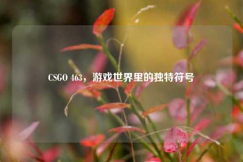 CSGO 463,游戏世界里的独特符号