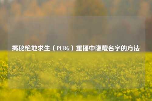 揭秘绝地求生(PUBG)重播中隐藏名字的方法