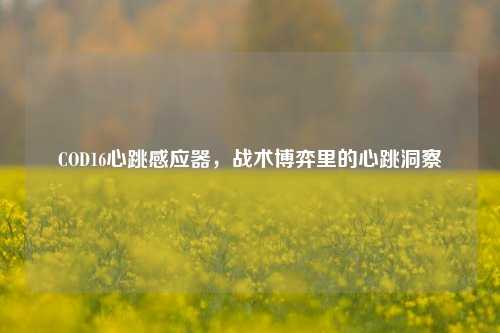 COD16心跳感应器,战术博弈里的心跳洞察