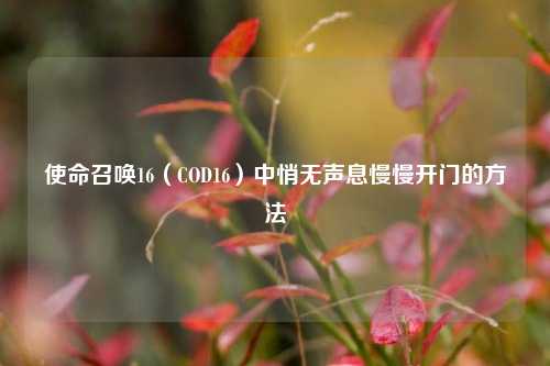 使命召唤16(COD16)中悄无声息慢慢开门的方法