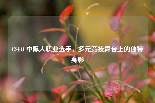 CSGO 中黑人职业选手，多元竞技舞台上的独特身影