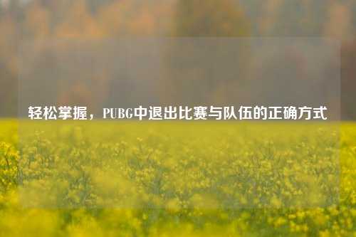 轻松掌握,PUBG中退出比赛与队伍的正确方式