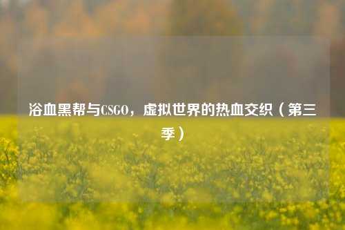 浴血黑帮与CSGO,虚拟世界的热血交织(第三季)