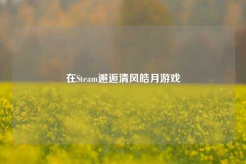 在Steam邂逅清风皓月游戏