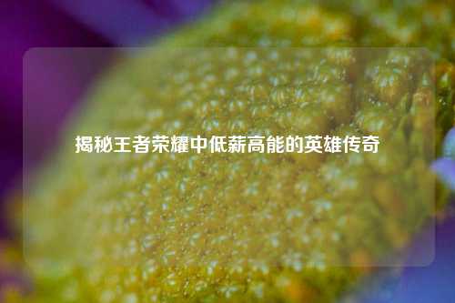 揭秘王者荣耀中低薪高能的英雄传奇