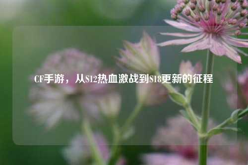 CF手游,从S12热血激战到S18更新的征程