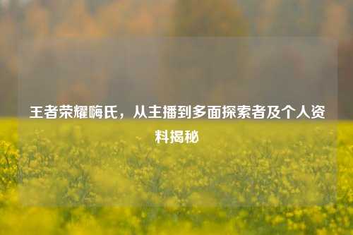 王者荣耀嗨氏，从主播到多面探索者及个人资料揭秘