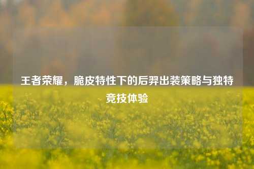 王者荣耀，脆皮特性下的后羿出装策略与独特竞技体验