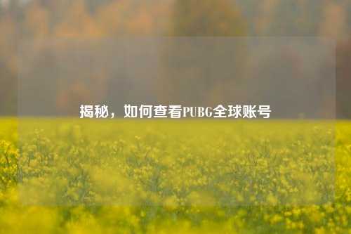 揭秘,如何查看PUBG全球账号