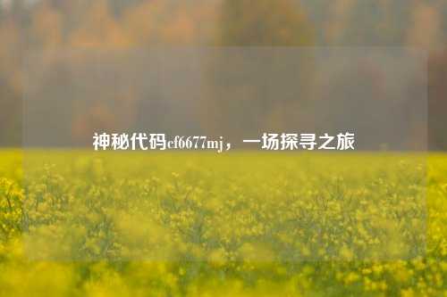神秘代码cf6677mj，一场探寻之旅