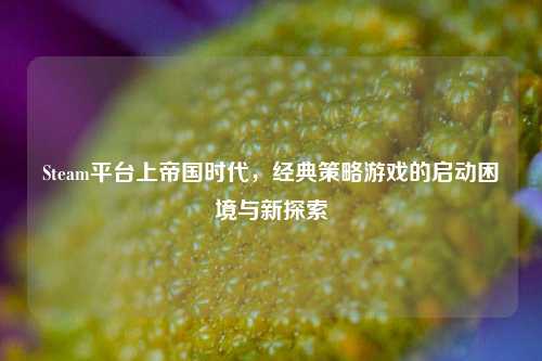 Steam平台上帝国时代,经典策略游戏的启动困境与新探索