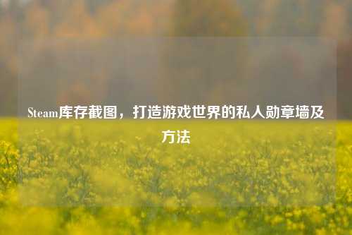 Steam库存截图,打造游戏世界的私人勋章墙及方法