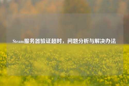 Steam服务器验证超时,问题分析与解决办法