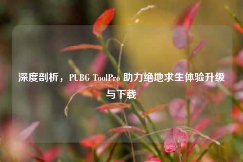 深度剖析,PUBG ToolPro 助力绝地求生体验升级与下载
