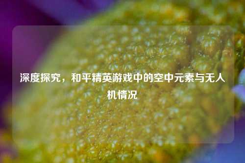 深度探究,和平精英游戏中的空中元素与无人机情况