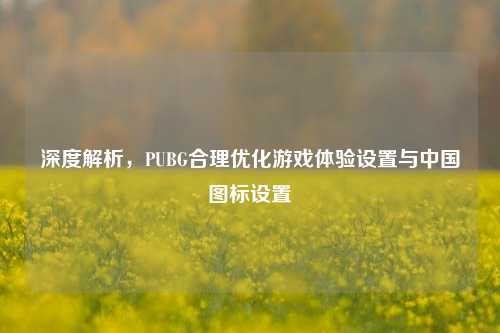 深度解析,PUBG合理优化游戏体验设置与中国图标设置