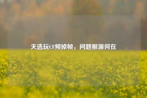 天选玩CF频掉帧,问题根源何在